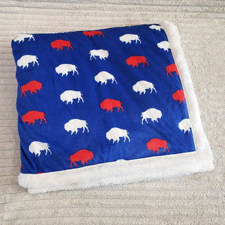 Red and Blue Buffalo Blanket