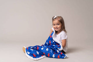 Red and Blue Buffalo Blanket