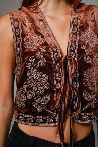 Embroidered Velvet Vest in Brown
