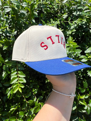 Upside Down Bills Hat