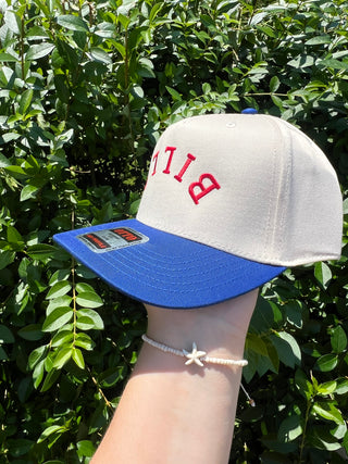 Upside Down Bills Hat