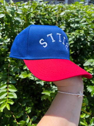 Upside Down Bills Hat