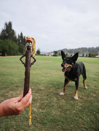 Incredible Stalk The SUPERSTICK Fetch Toys: The Incredible Stalk