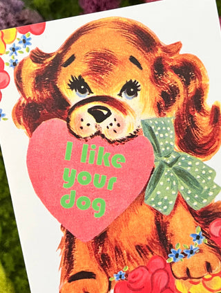 I Like Your Dog Funny Card - Love Valentine Everyday Card